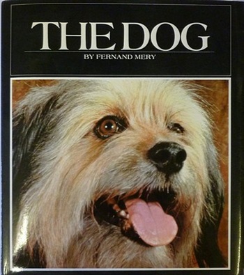 The