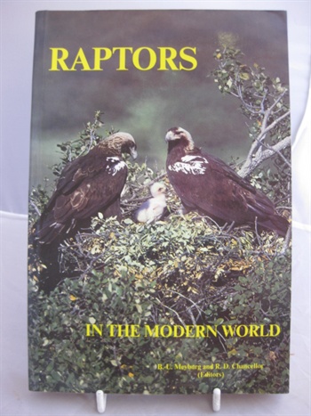 Raptors