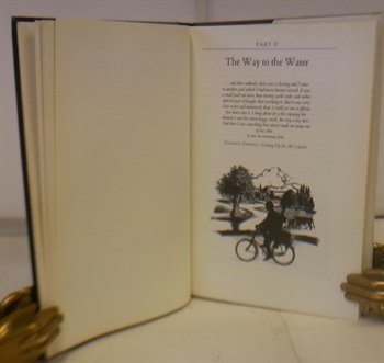 Casting At The Sun The Reflections Of A Carp Fisher